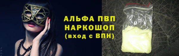индика Михайловск
