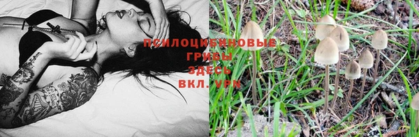 2c-b Михайловка