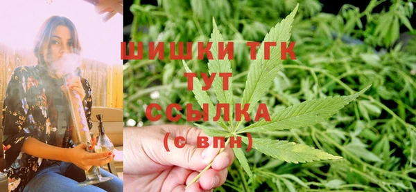 прущий лед Михайлов