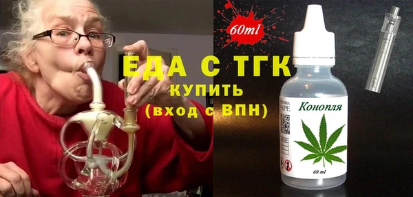 индика Михайловск