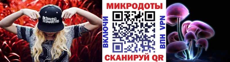 KRAKEN ссылка  Оса  Галлюциногенные грибы ЛСД 